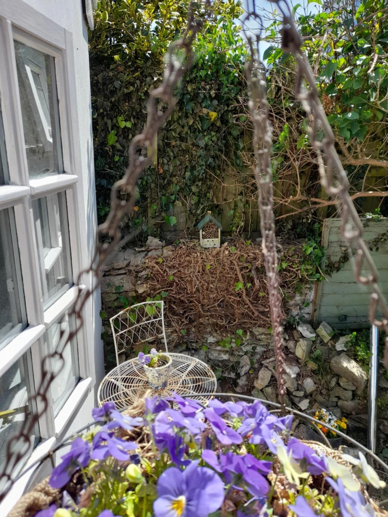 My Little Studio Farmborough Exterior photo